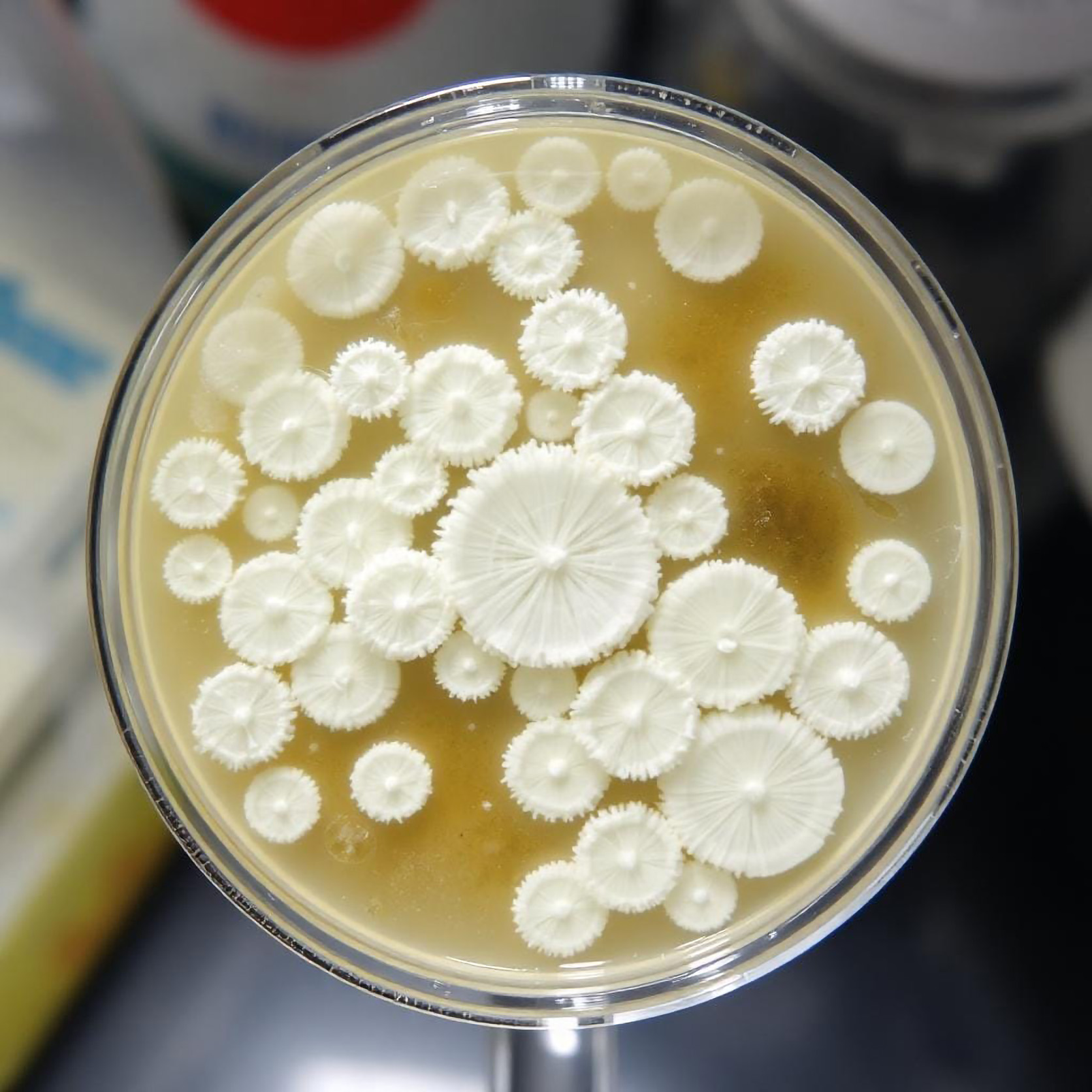 1 Coalchry-green-ourmission-home